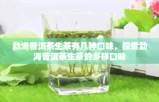 勐海普洱茶生茶有几种口味，探索勐海普洱茶生茶的多样口味