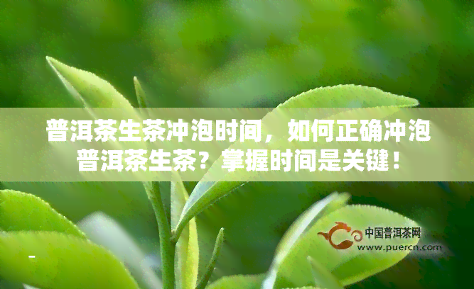 普洱茶生茶冲泡时间，如何正确冲泡普洱茶生茶？掌握时间是关键！