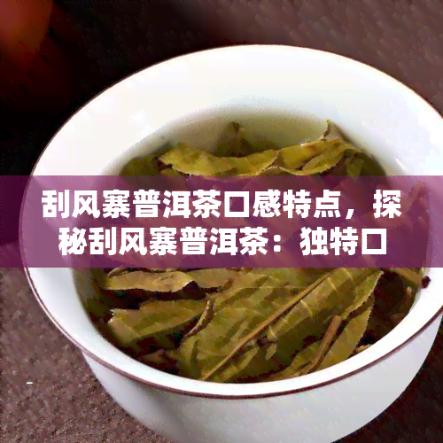 刮风寨普洱茶口感特点，探秘刮风寨普洱茶：独特口感特点解析