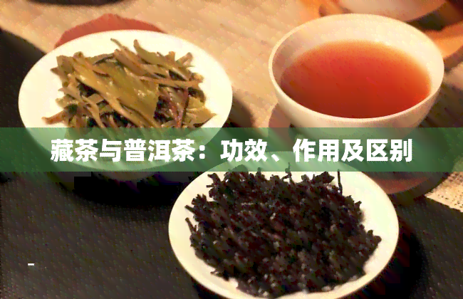 藏茶与普洱茶：功效、作用及区别