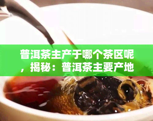 普洱茶主产于哪个茶区呢，揭秘：普洱茶主要产地在哪里？