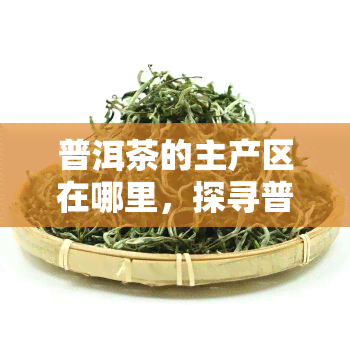 普洱茶的主产区在哪里，探寻普洱茶的源头：揭秘其主要产区