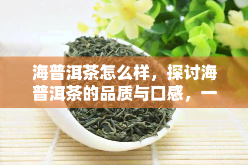 海普洱茶怎么样，探讨海普洱茶的品质与口感，一探究竟！