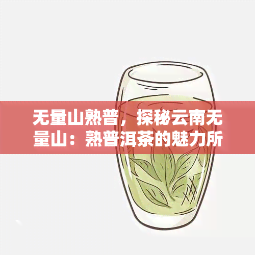 无量山熟普，探秘云南无量山：熟普洱茶的魅力所在