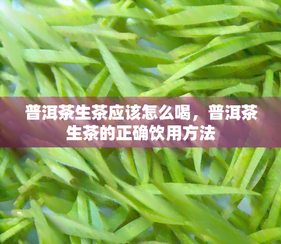 普洱茶生茶应该怎么喝，普洱茶生茶的正确饮用方法