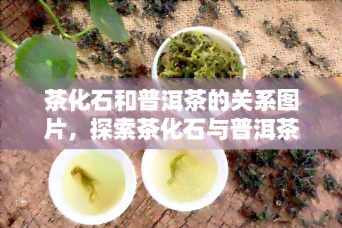 茶化石和普洱茶的关系图片，探索茶化石与普洱茶的紧密联系：一幅视觉宴