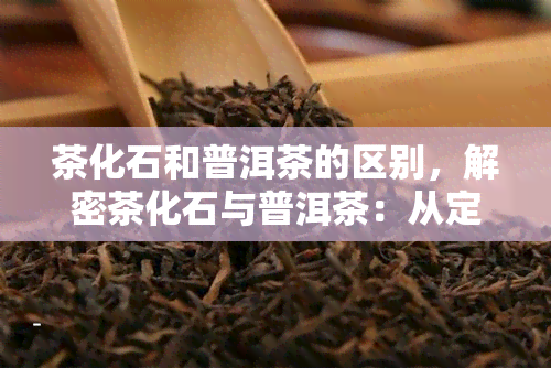 茶化石和普洱茶的区别，解密茶化石与普洱茶：从定义、制作工艺到口感的全方位对比