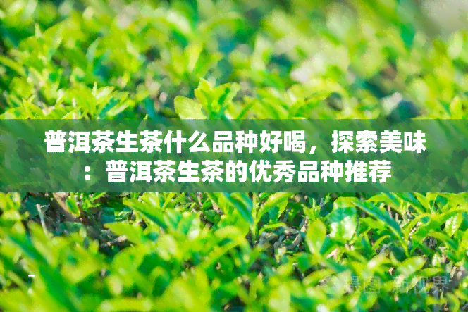 普洱茶生茶什么品种好喝，探索美味：普洱茶生茶的优秀品种推荐