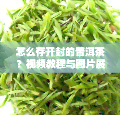 怎么存开封的普洱茶？视频教程与图片展示