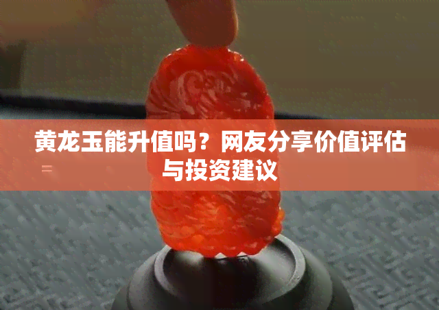 黄龙玉能升值吗？网友分享价值评估与投资建议