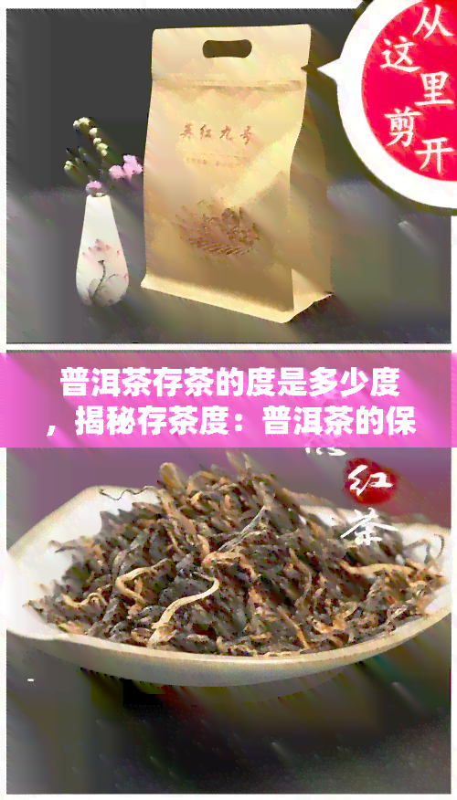 普洱茶存茶的度是多少度，揭秘存茶度：普洱茶的保存条件是什么？