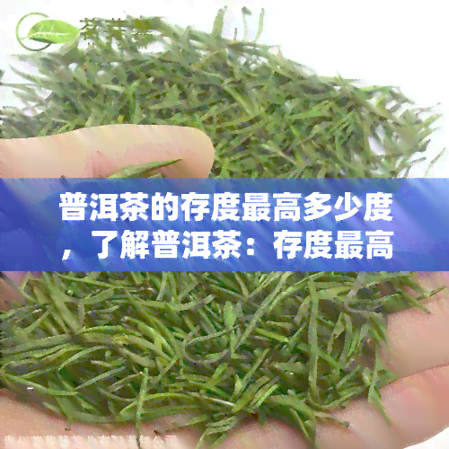 普洱茶的存度更高多少度，了解普洱茶：存度更高限制是多少度？