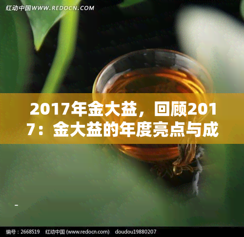 2017年金大益，回顾2017：金大益的年度亮点与成就