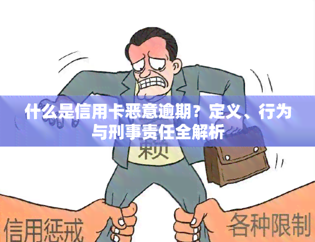 什么是信用卡恶意逾期？定义、行为与刑事责任全解析