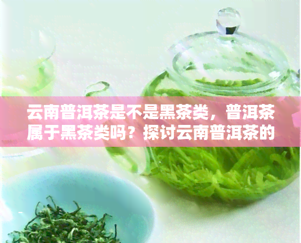 云南普洱茶是不是黑茶类，普洱茶属于黑茶类吗？探讨云南普洱茶的分类归属