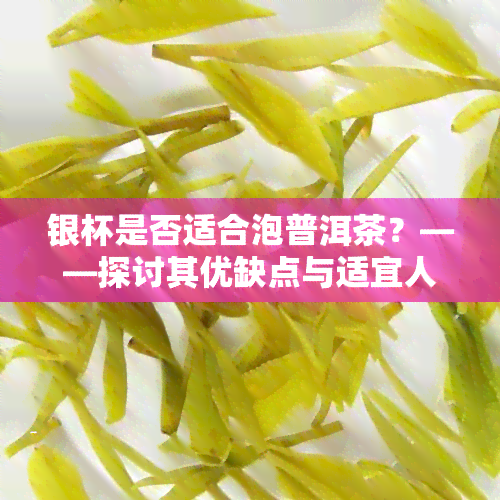 银杯是否适合泡普洱茶？——探讨其优缺点与适宜人群