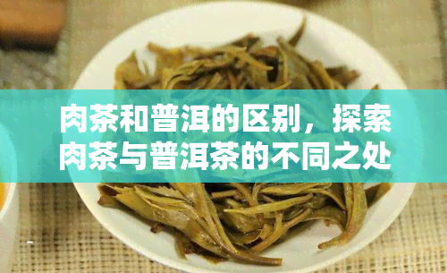 肉茶和普洱的区别，探索肉茶与普洱茶的不同之处：一次味觉之旅