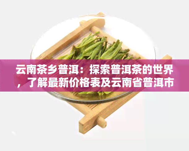 云南茶乡普洱：探索普洱茶的世界，了解最新价格表及云南省普洱市茶文化