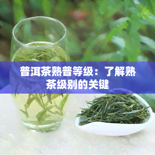 普洱茶熟普等级：了解熟茶级别的关键