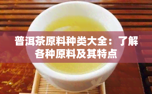 普洱茶原料种类大全：了解各种原料及其特点