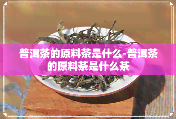 普洱茶的原料茶是什么-普洱茶的原料茶是什么茶