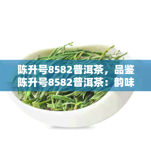 陈升号8582普洱茶，品鉴陈升号8582普洱茶：韵味无穷的茶香体验