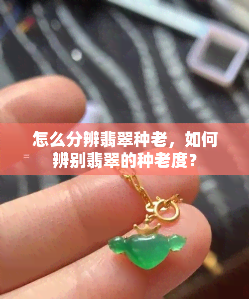 怎么分辨翡翠种老，如何辨别翡翠的种老度？