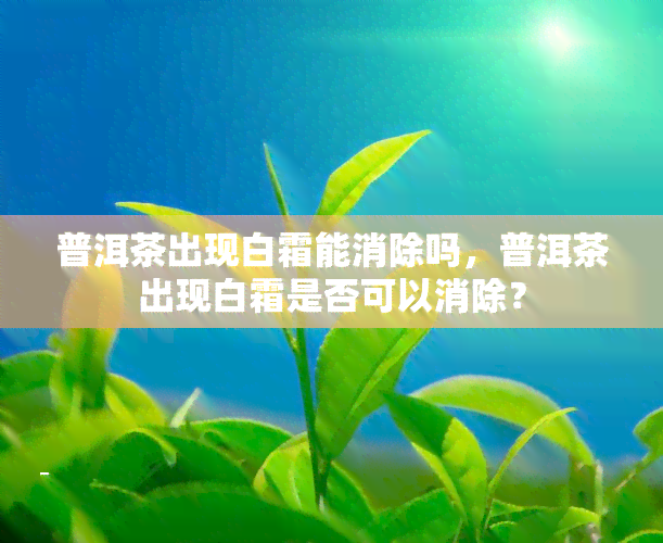 普洱茶出现白霜能消除吗，普洱茶出现白霜是否可以消除？