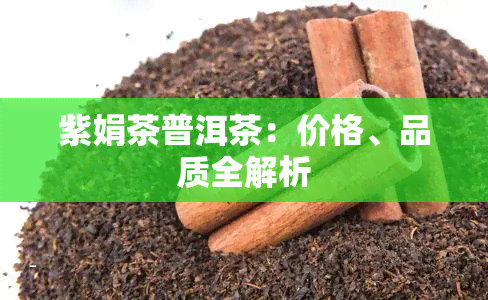 紫娟茶普洱茶：价格、品质全解析