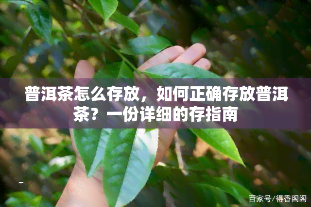 普洱茶怎么存放，如何正确存放普洱茶？一份详细的存指南