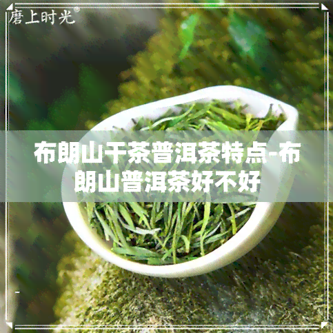 布朗山干茶普洱茶特点-布朗山普洱茶好不好