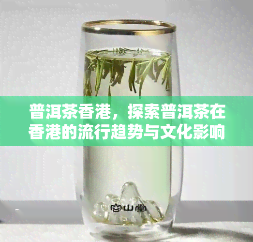 普洱茶，探索普洱茶在的流行趋势与文化影响