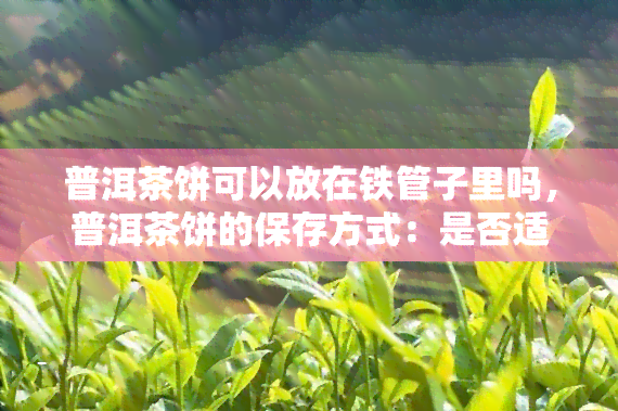 普洱茶饼可以放在铁管子里吗，普洱茶饼的保存方式：是否适合放在铁管子里？