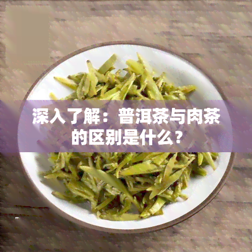 深入了解：普洱茶与肉茶的区别是什么？