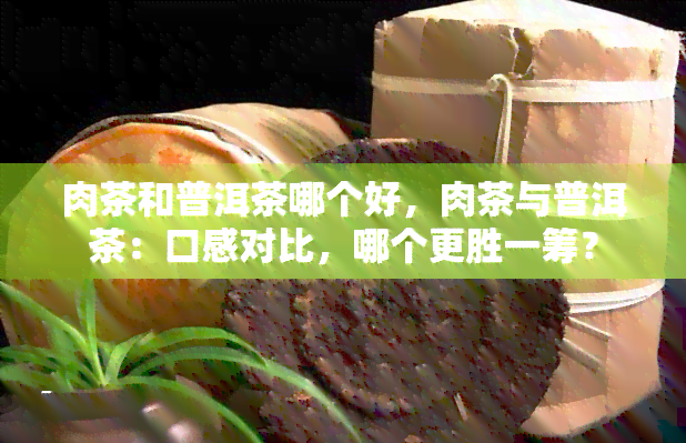 肉茶和普洱茶哪个好，肉茶与普洱茶：口感对比，哪个更胜一筹？