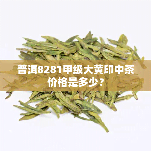 普洱8281甲级大黄印中茶价格是多少？