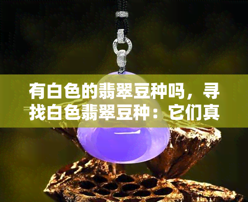 有白色的翡翠豆种吗，寻找白色翡翠豆种：它们真的存在吗？