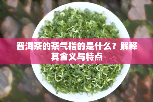 普洱茶的茶气指的是什么？解释其含义与特点