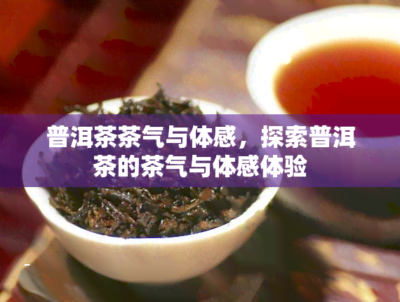 普洱茶茶气与体感，探索普洱茶的茶气与体感体验