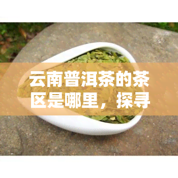 云南普洱茶的茶区是哪里，探寻云南普洱茶的顶级产地：哪个茶区的茶叶？