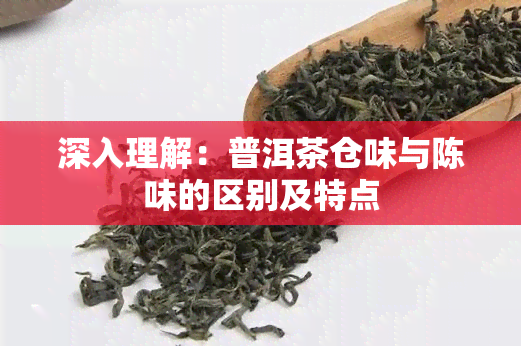 深入理解：普洱茶仓味与陈味的区别及特点