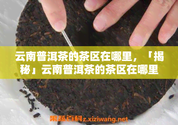 云南普洱茶的茶区在哪里，「揭秘」云南普洱茶的茶区在哪里？