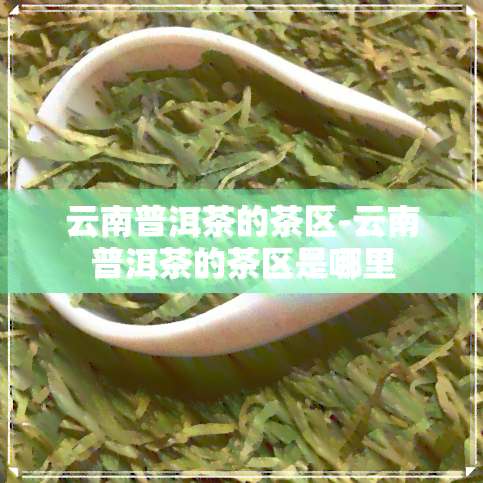 云南普洱茶的茶区-云南普洱茶的茶区是哪里