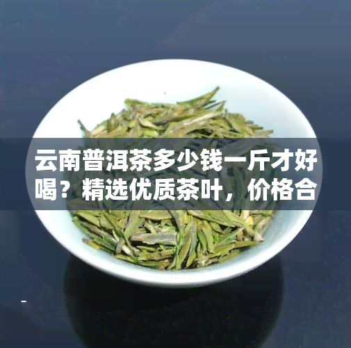 云南普洱茶多少钱一斤才好喝？精选优质茶叶，价格合理，口感醇厚。