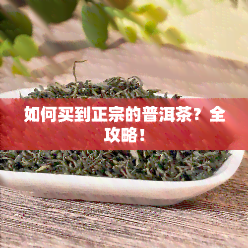 如何买到正宗的普洱茶？全攻略！