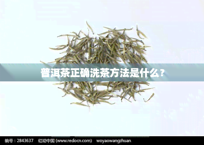 普洱茶正确洗茶方法是什么？