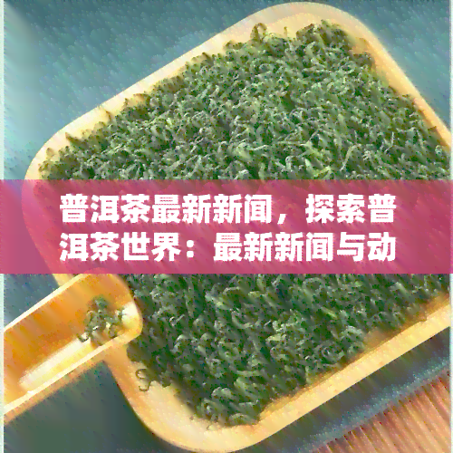 普洱茶最新新闻，探索普洱茶世界：最新新闻与动态解析