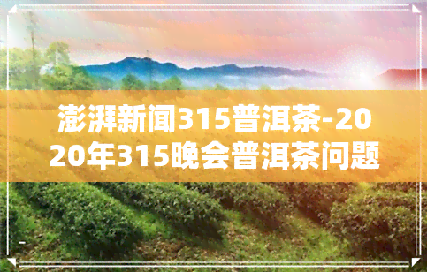 澎湃新闻315普洱茶-2020年315晚会普洱茶问题