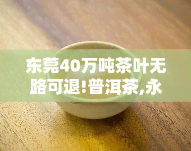 东莞40万吨茶叶无路可退!普洱茶,永远的库存之殇，东莞40万吨茶叶遭遇库存困境：普洱茶，永无出路的悲剧？