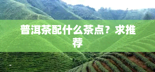 普洱茶配什么茶点？求推荐